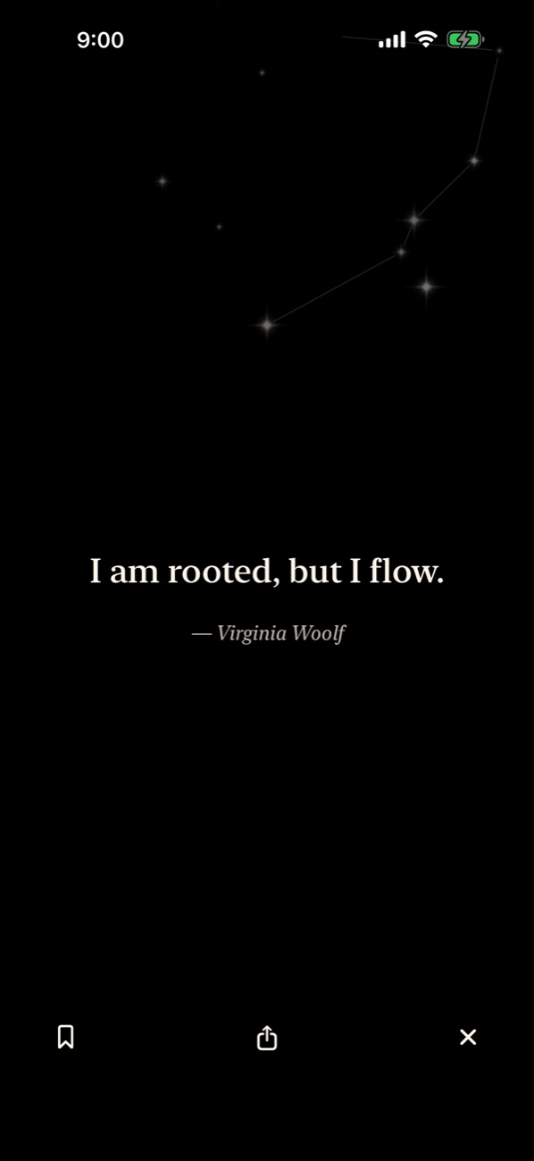 A quote shown over the sky after saving an entry